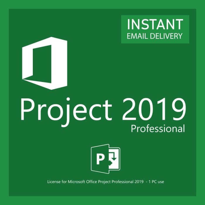 Project 2019 Professional Microsoft професійний 1 пк (електронний ключ, всі мови)