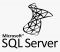 SQL server 2019 standard
